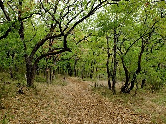 Sentier de Fontaliès-Le Bosc - Monteils