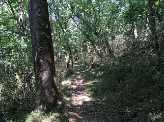 78 - LE TOUR DE SEILHAN