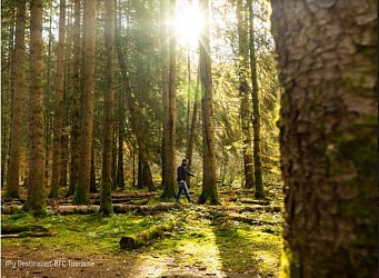 Circuit de randonnée : Boucle des trois bornes