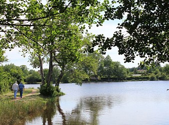 Circuit de randonnée : Boucle du bois de Marcioux