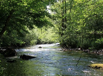 Circuit de randonnée : Boucle du pont de Saulieu
