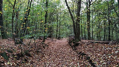 La Goutelle