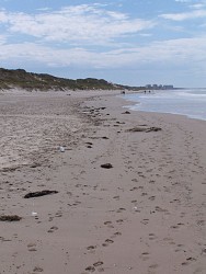 Site naturel d'Ecault : le sentier du Pré Catelan
