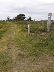Site naturel d'Ecault : le sentier d'Aréna