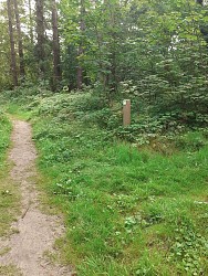 Site naturel d'Ecault : le sentier des Grands Pins