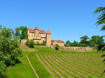 Châteaux et vignobles du Madiran - N°11