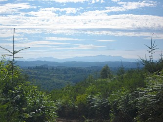 VTT - Gravel - La cime des bois - 50 km - circuit 7