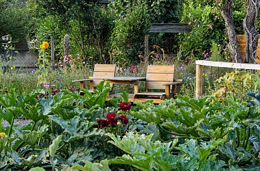 Circuit du Pont Rozel n°110