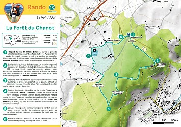 Randonnée - la forêt du chanot