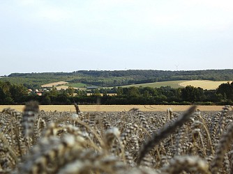 N°25 - Les Sarts