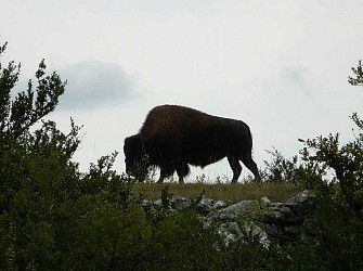 Sentier du bout du Causse