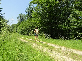 La Forêt des Hauts-Bois
