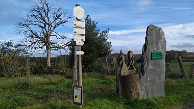 Pinsaumont