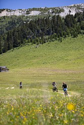 E-Bike - La Vallée sauvage des Avals