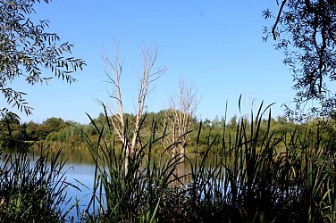Les sentiers et la Noue de Moignelée