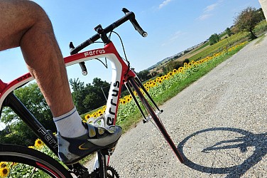 Lomagne V4 - Circuit de l'Arrats