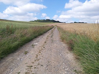 3 - Boucle des Bois