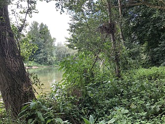 LE SENTIER DU RAMIER