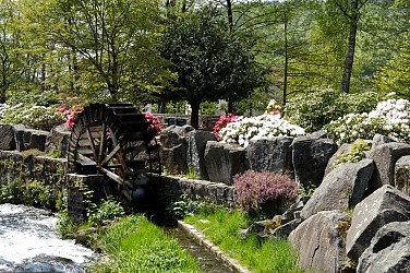 Circuit vtt AC7 vert - chemin des croix