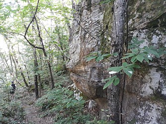 Rennes les Bains -Parcours Botanique