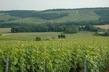 GRP Tour de Champagne de la Vallée de l'Ource