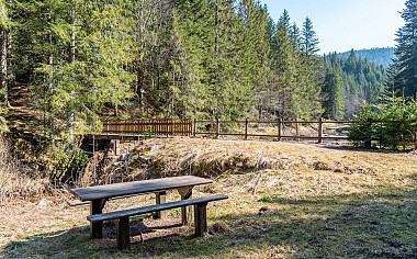 La tourbière de belbriette - walk