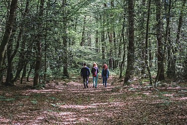 Escapade en forêt du Gâvre