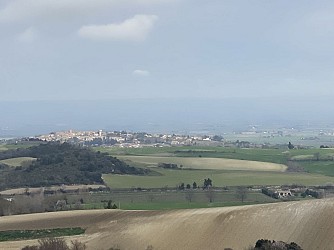 Le bois de la Hille et du Mont Carrière à Fanjeaux