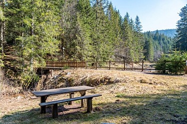Stroller ride - la tourbiere de belbriette