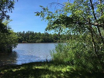 Promenade Etangs et Forêt