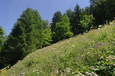 Circuit de randonnée : La Thuile - Sainte Foy - Villaroger
