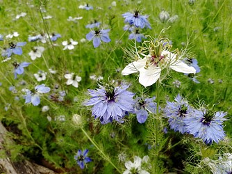 Circuit de la Hautière n°125