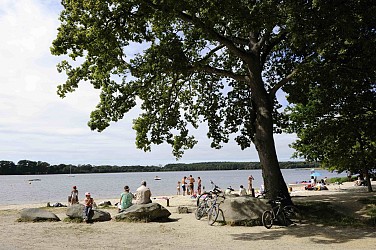 Circuit VTT en Pays de Rennes n°13: Etang de Boulet