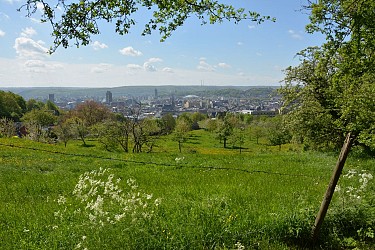 Les coteaux de la Citadelle - Bois, champs et panoramas