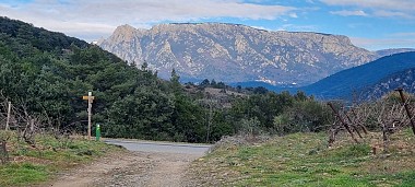 PASSA MERIDIA N° 21 - ROQUEBRUN / OLARGUES