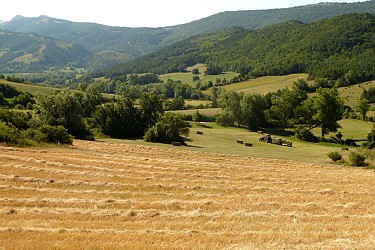 De Saint-Dizier-en-Diois au col de Fond-Sauvage