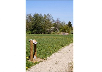 Sentier des mares