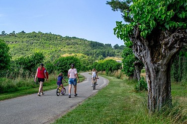 PR1 - Circuit des coteaux de Saint-Pierre à Montastruc