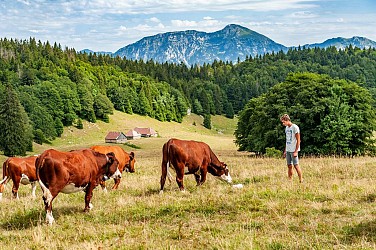 Le Creux de Lachat en boucle par le col de la Cochette