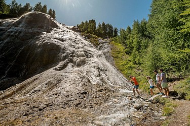 Sentier découverte et botanique du Bois de la Laye