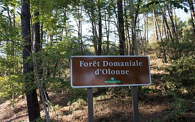 Accès à pied aux plages d'Olonne sur Mer par la forêt