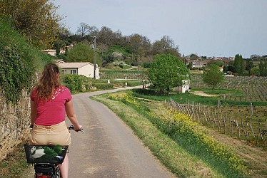 Bike and wine #3