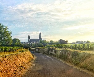 Entre vignes et tuffeaux - Parcours rouge n°4