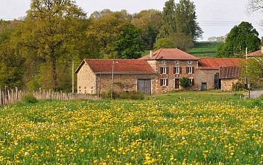 Sentier chez le Geai