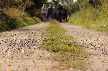 Circuit vers Bessé-sur-Braye à Cellé