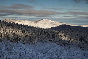 Rousset pass - But de l'Aiglette