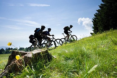 Le Bois de la Crose (Base VTT FFC Vercors Trièves - parcours n° 53)