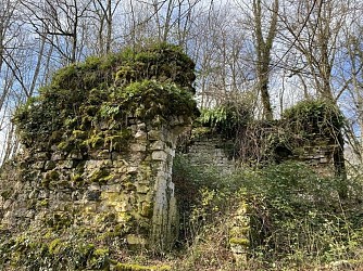 Les Ruines du Château de Flandaines