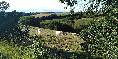 BALADE A SAINTE BARSE (LONG)