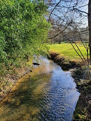 PR autour de Cerdon Nord - N°4